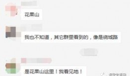远安最新爆料事件视频,视频揭露惊人真相，事件背后有何隐情？