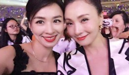 张婷爆料陶虹视频大全最新,张婷揭露惊人内幕