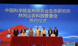 吉安米田科技最新爆料,颠覆性创新技术即将亮相，引领行业新潮流