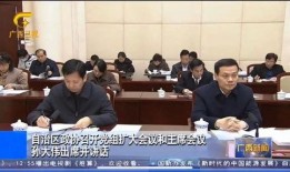 王雁林最新爆料新闻报道,揭秘事件背后惊人真相