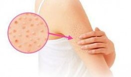 吃鸡皮肤爆料最新直售,直售版惊艳亮相，带你领略游戏魅力