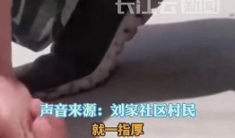 最新豆腐渣工程爆料视频,最新爆料视频曝光惊人内幕