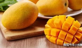 芒果最新爆料深圳网友,芒果最新爆料揭秘幕后真相