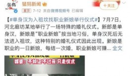 金乡小夏最新爆料事件真相,揭秘背后真相与真相背后的真相