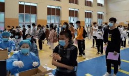 获嘉离婚爆料最新消息,揭秘背后真相与细节