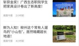 最新全面爆料新闻内容,最新全面爆料新闻背后的惊人真相