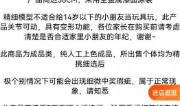 鲨鱼最新消息爆料,揭秘神秘海洋生物的最新发现与奥秘