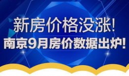 南京地产爆料最新消息,揭秘新盘开盘及市场走势！