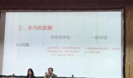 深圳南山武先生最新爆料,揭秘事件背后惊人真相