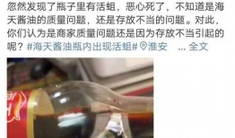 爆料海天视频最新,揭秘行业内幕，引发公众关注