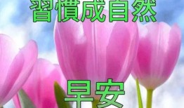 早安最新爆料图片卡通图,卡通图揭秘最新爆料，带你一探究竟！