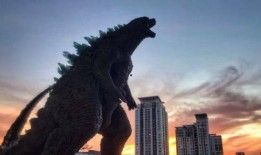 荒野24赛季最新爆料,揭秘全新爆料，战局风云再起！