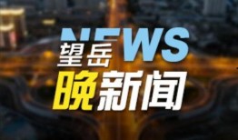 泰安负面新闻爆料事件最新,真相与争议交织的舆论漩涡