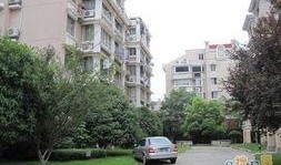 杭州新花园爆料最新消息,揭秘神秘项目背后的故事