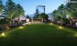 开封小学生最新爆料电话