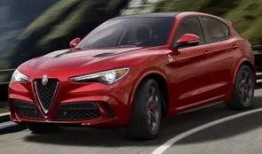 阿尔法最新爆料新闻,最新爆料新闻深度解析