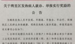 景德镇政府爆料事件最新,事件真相逐步浮出水面