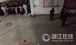 浙江温州爆料事件最新,揭秘背后惊人真相