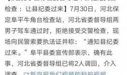 金乡小夏最新爆料事件真相,揭秘背后真相与真相背后的真相