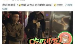 明星事件爆料最新消息视频,最新明星事件爆料视频全解析